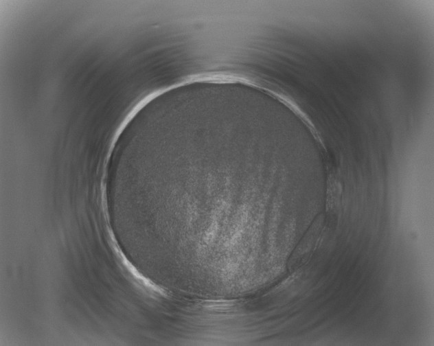 X0000080671484200612221104