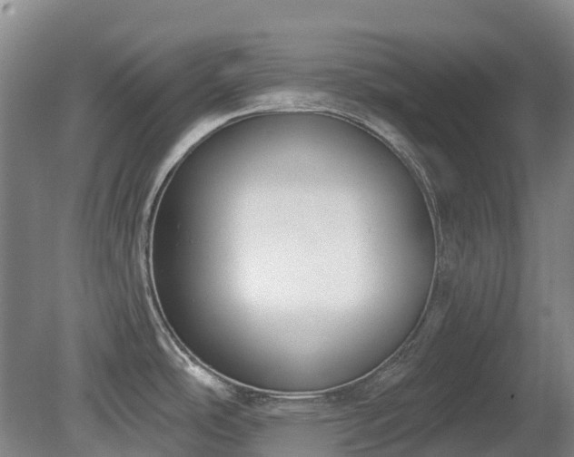 X0000080671486200612221104