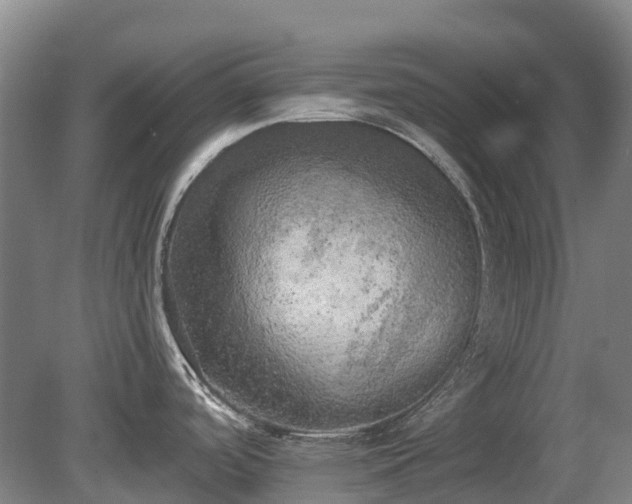 X0000080671488200612221104