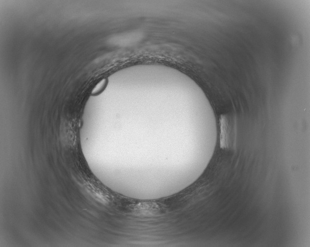 X0000080671491200612221103