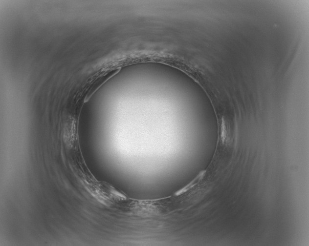 X0000080671492200612221103