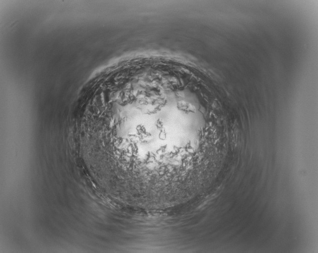 X0000080671494200612221103