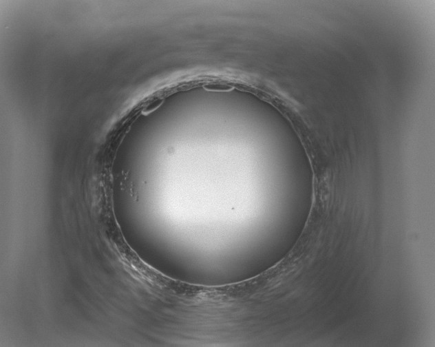 X0000080671496200612221103