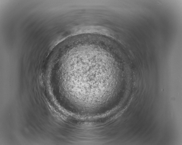 X0000080671497200612221103