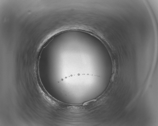 X0000080671500200612221103