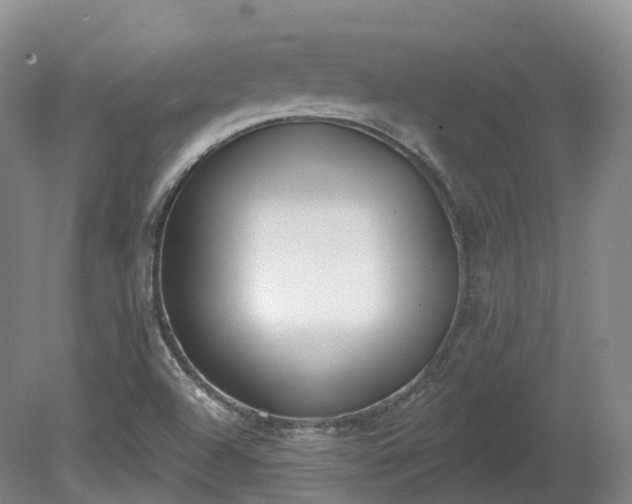 X0000080671504200612221103