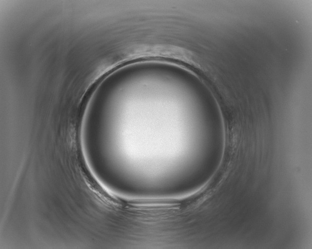 X0000080671505200612221103