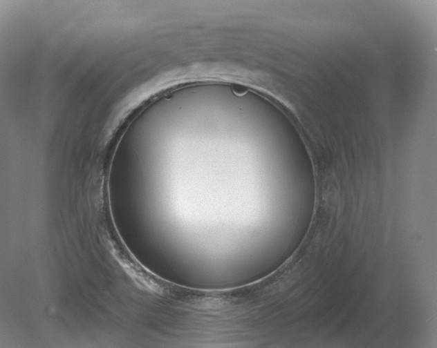 X0000080671507200612221103