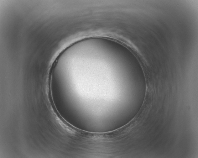 X0000080671512200612221103