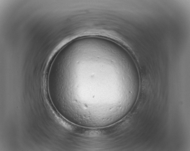 X0000080671517200612221103