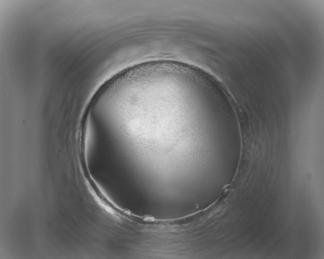 X0000080671519200612221103