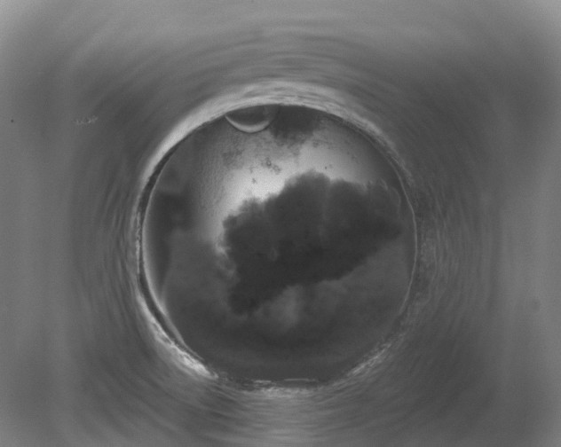 X0000080671522200612221103