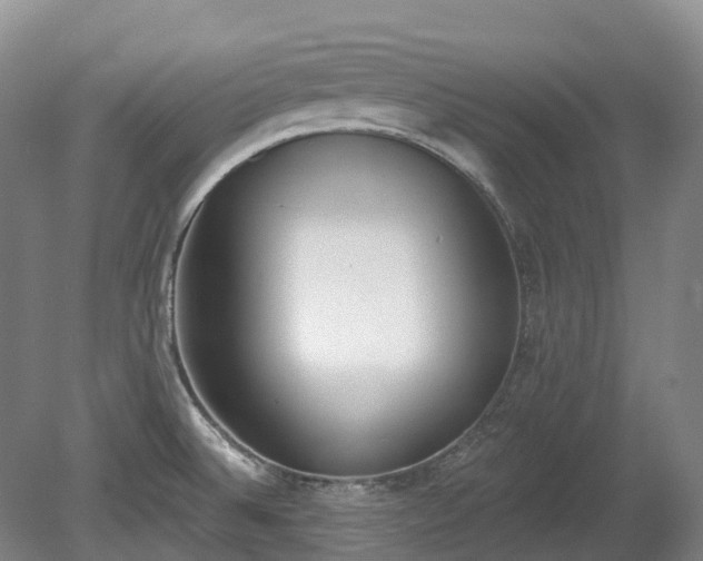 X0000080671524200612221103
