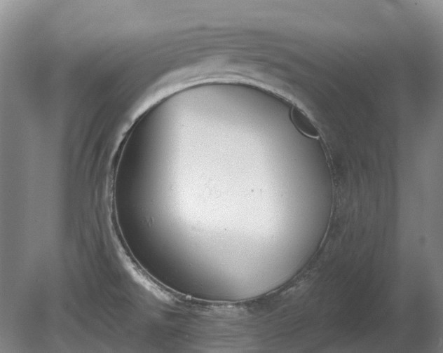 X0000080671526200612221103