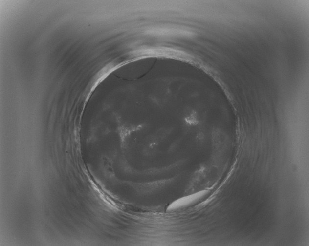 X0000080671529200612221103