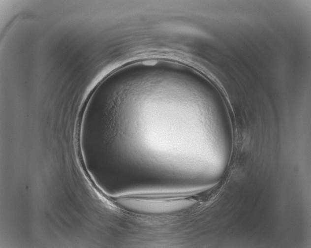 X0000080671533200612221104