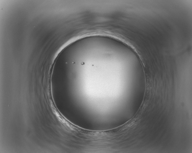 X0000080671534200612221104