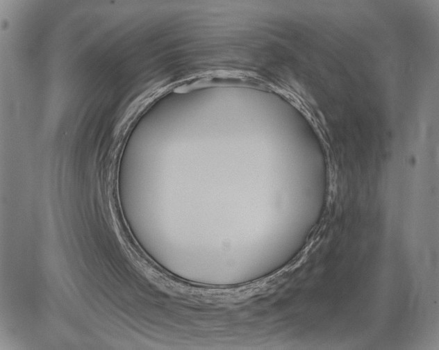 X0000080670001200612301411