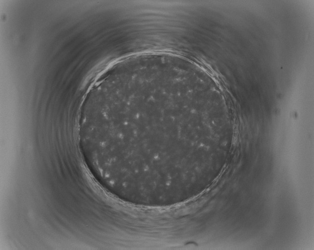 X0000080670002200612301411