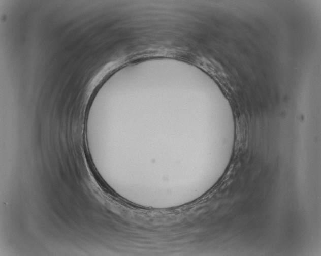 X0000080670003200612301411