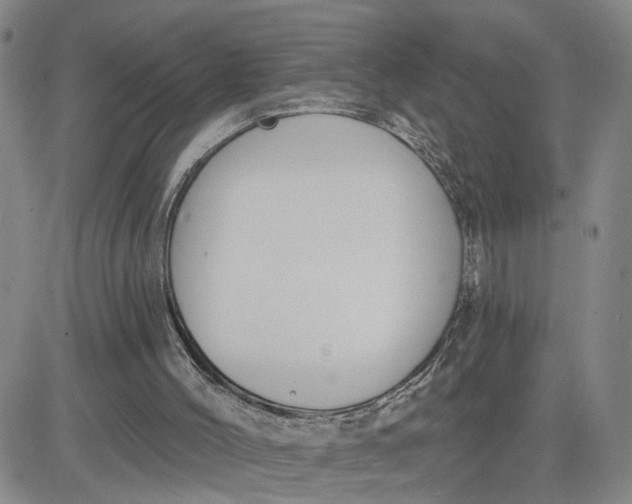 X0000080670004200612301411