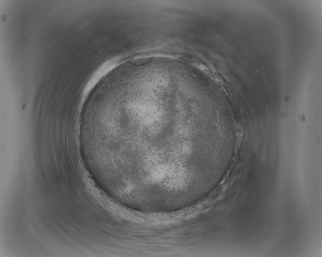 X0000080670006200612301411