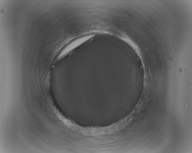 X0000080670009200612301411