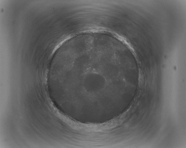 X0000080670010200612301411