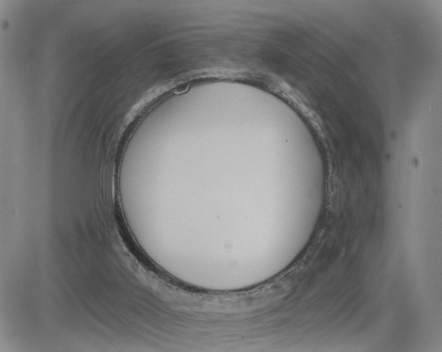 X0000080670011200612301411