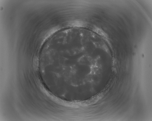 X0000080670012200612301411