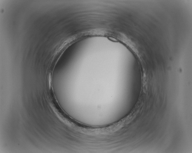 X0000080670013200612301411