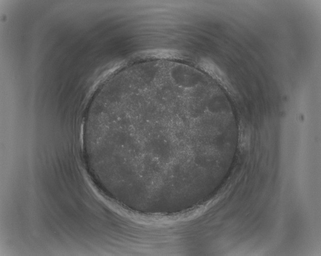 X0000080670014200612301411