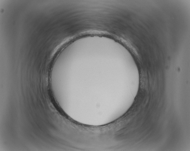 X0000080670015200612301411