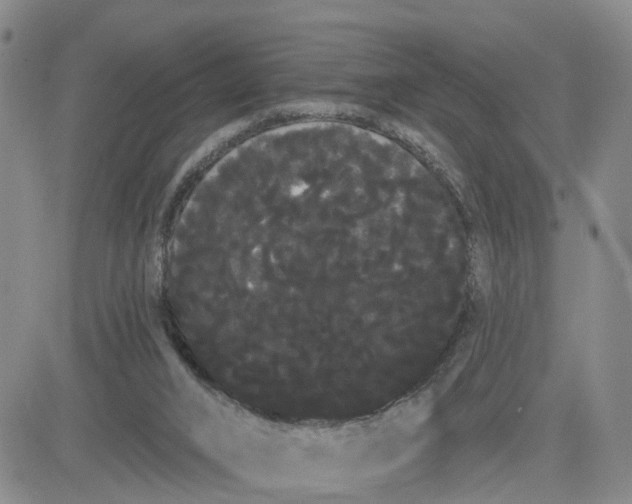 X0000080670016200612301411