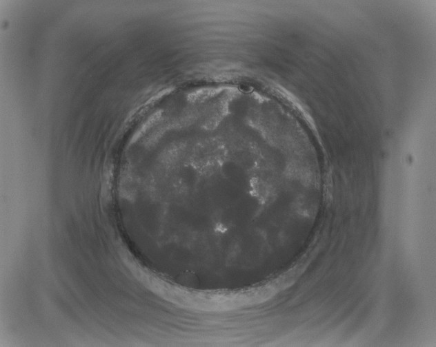 X0000080670018200612301411