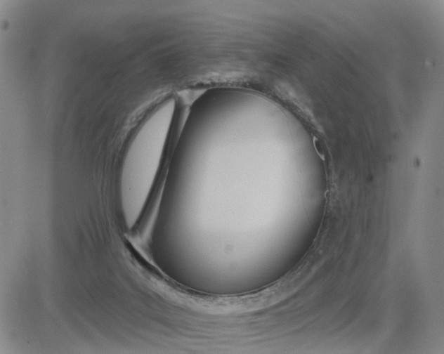 X0000080670019200612301411