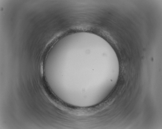 X0000080670020200612301411