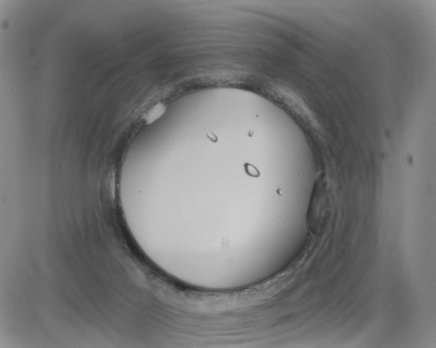 X0000080670021200612301411