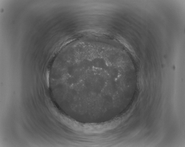 X0000080670022200612301411