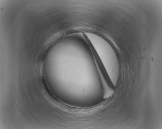 X0000080670023200612301411