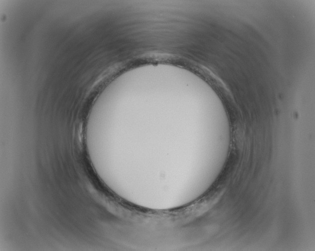 X0000080670024200612301411