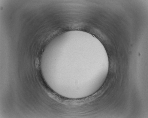 X0000080670025200612301411