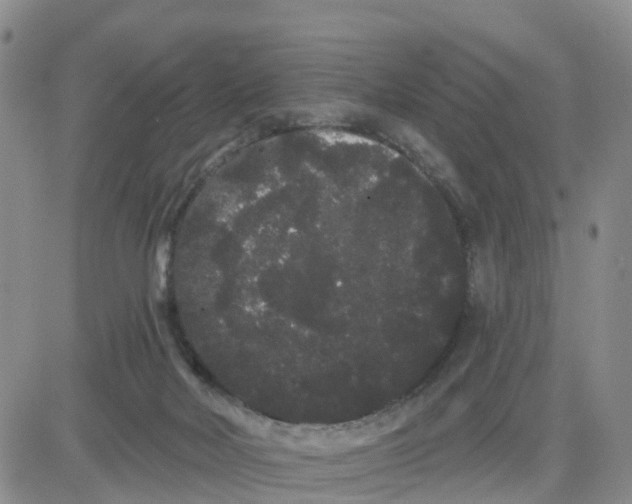 X0000080670026200612301411