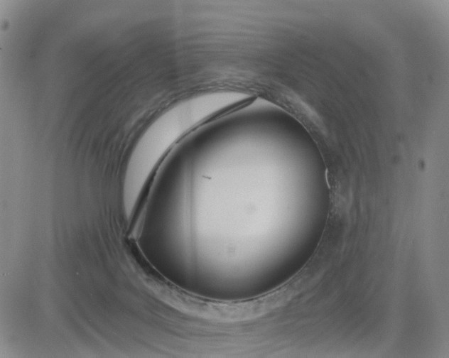 X0000080670027200612301411