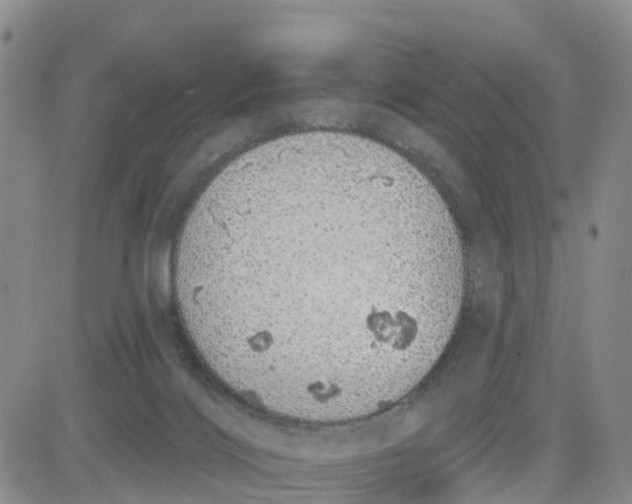 X0000080670028200612301411