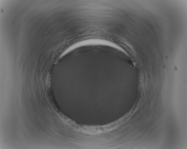 X0000080670029200612301411