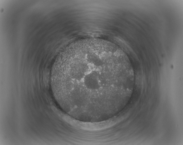 X0000080670030200612301411