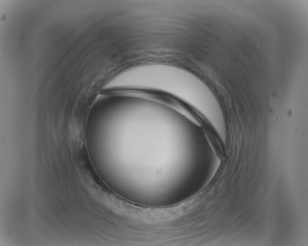 X0000080670031200612301411