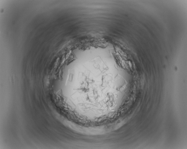 X0000080670032200612301411