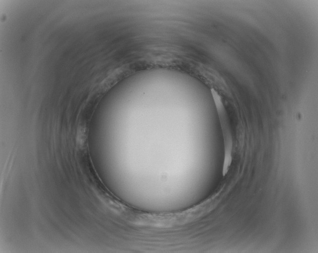 X0000080670033200612301411